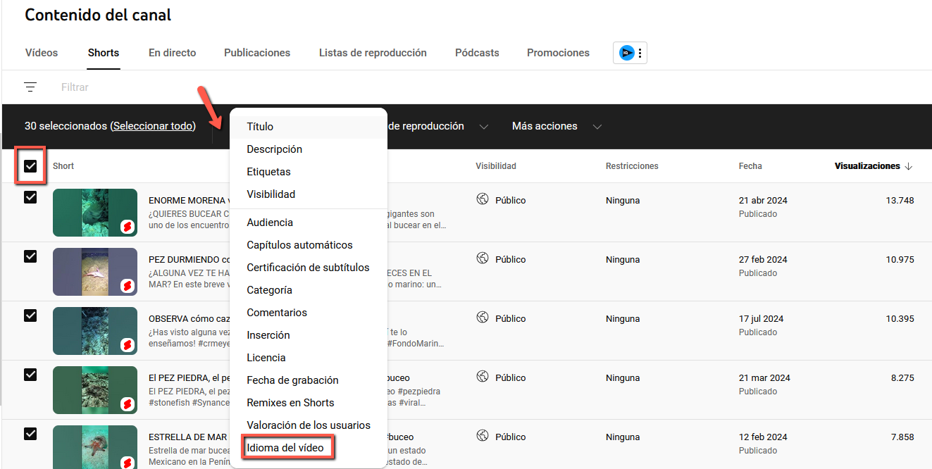 Captura de pantalla mostrando el proceso para cambiar el idioma de varios videos en YouTube de forma masiva a través de YouTube Studio